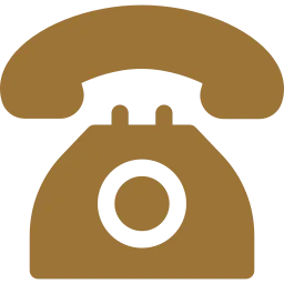Phone Icon